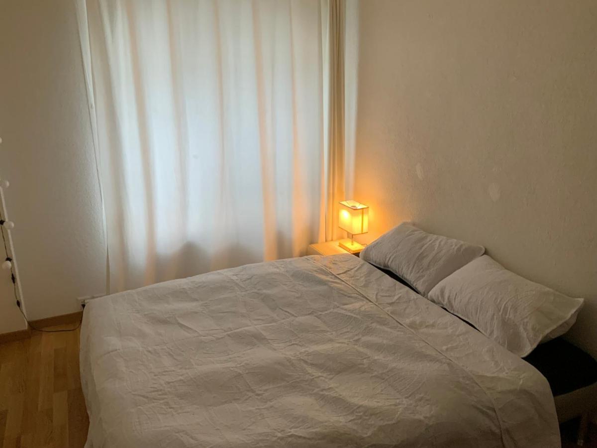 Lion Bb Swiss Apartment Zurich Bagian luar foto