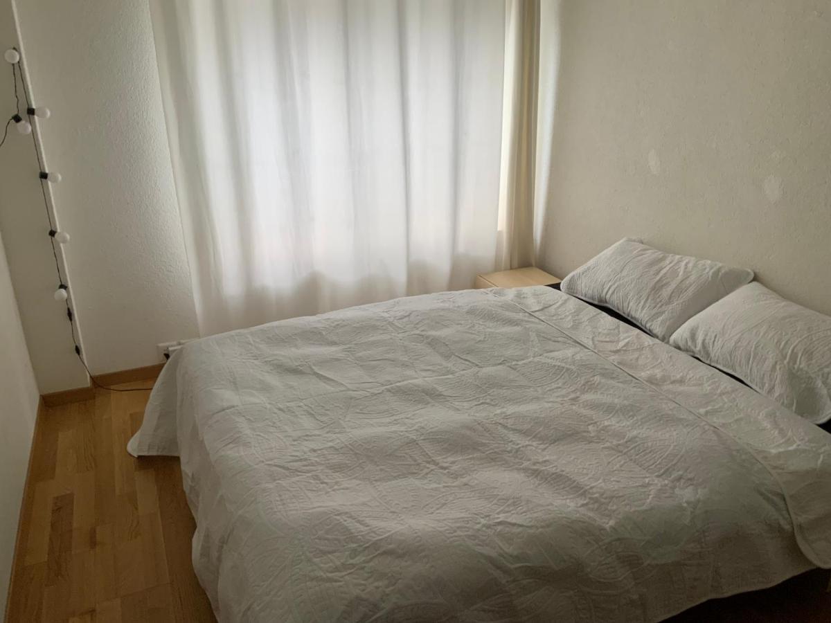 Lion Bb Swiss Apartment Zurich Bagian luar foto